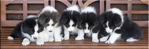 Julee & her siblings