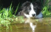 Braeyden in Pond