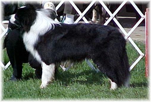 Banner very young at 2004 BCSA Nationals