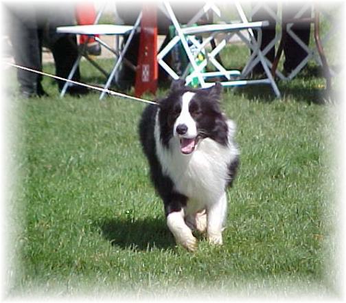 photo of Banner Tinkerbell's Dad