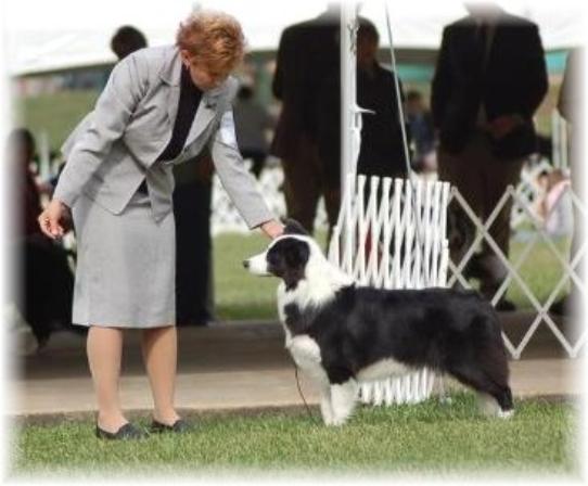 Renae showing Disney at BCSA Nationals.