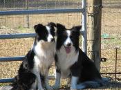 Julee & Shanghai