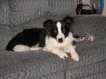 young Julee on sofa