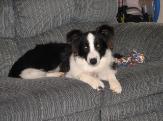 Young Julee on sofa