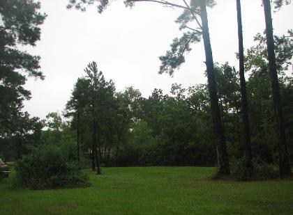 wilsong grounds