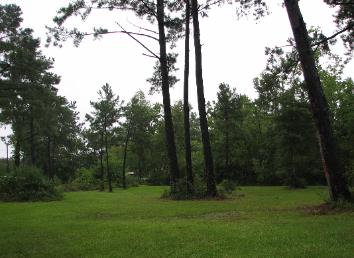 WILSONG