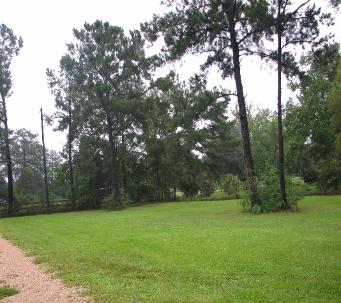 WILSONG driveway 