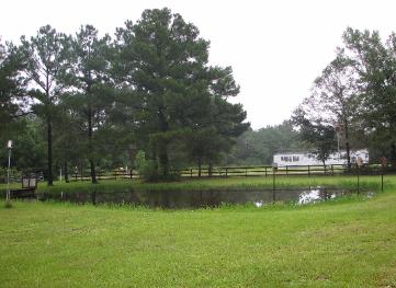 WILSONG POND