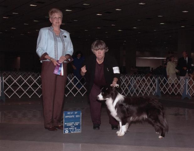 Shanghai & Judy 3