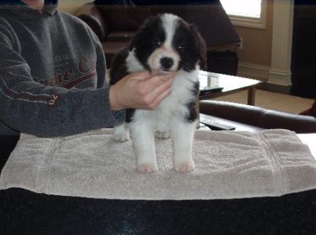 Braeyden front 8 wks
