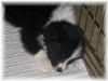 Rowdy sleeping