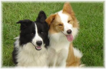 Braeyden & Wendy
