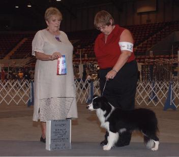 Tracey & Glory Monroe 2