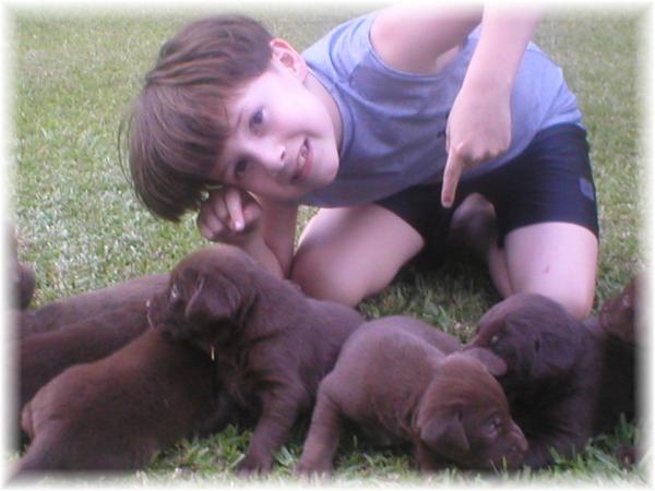 JohnMerl & pups