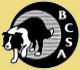 wilsong border collies gif