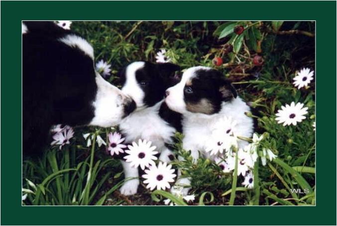 Motherly Love
