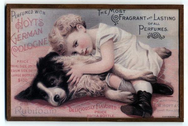 beautiful wilsong border collies