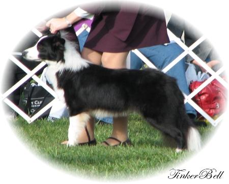 Tinker at BCSA Nationals 2008
