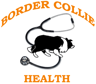 wilsong border collies health issues