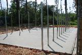 beginnings of kennels 