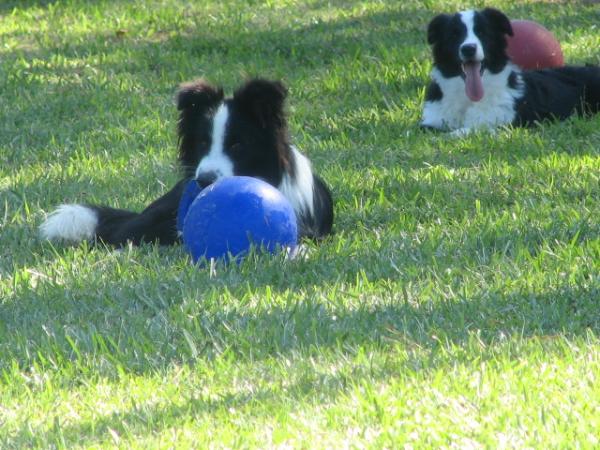 Julee and Glory at Wilsong