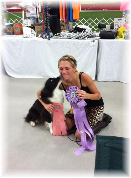 Glory giving kisses - Wilsong Border Collies 