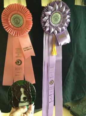 Wilsong GloryBound's Awardsfrom the BCSA  Nationals 