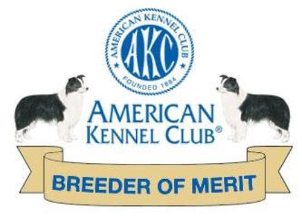 Wilsong - AKC Breeder of Merit 