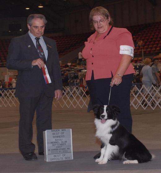 Tracey & Glory of Wilsong Border Collies in Monroe