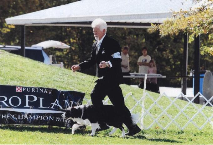 Richard & Wilsong Border Collies' Glory moving BCSA 2007