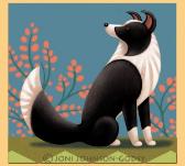 wilsong border collies gif