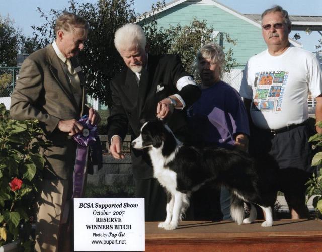 Richard & Glory of Wilsong Border Collies - BCSA RWB 2007