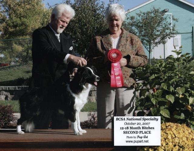 Richard & Glory of Wilsong Border Collies-   BCSA 2007
