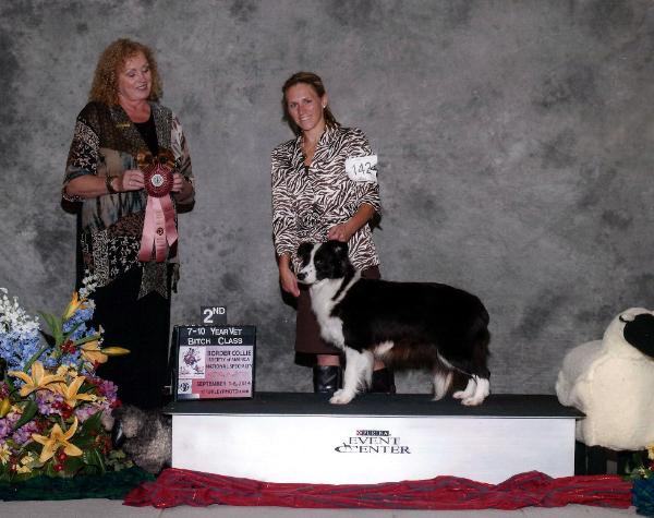 Wilsong GloryBound winning 