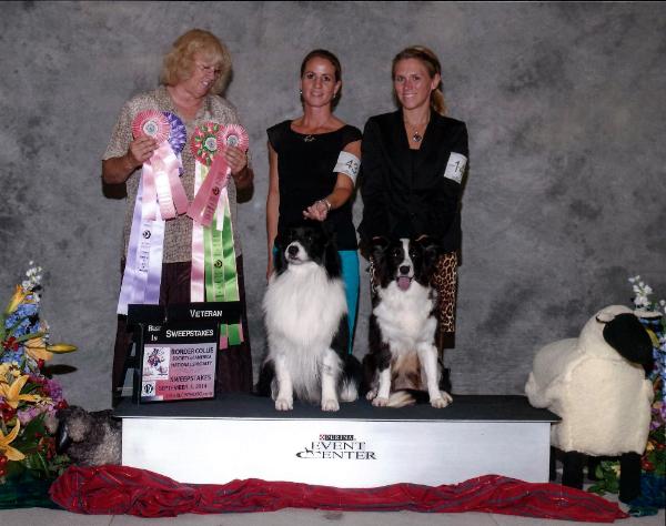 Wilsong Glory Bound winning at BCSA Nationals