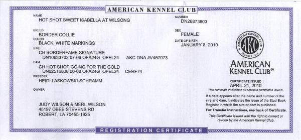 Certificate issued 2010