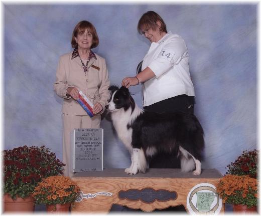 Julee winning with Tracey