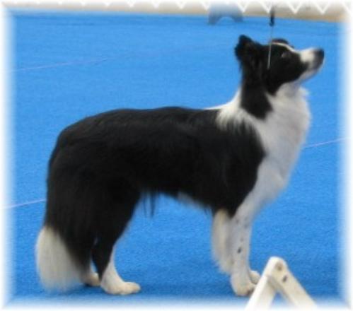 Julee KTBCC 2006