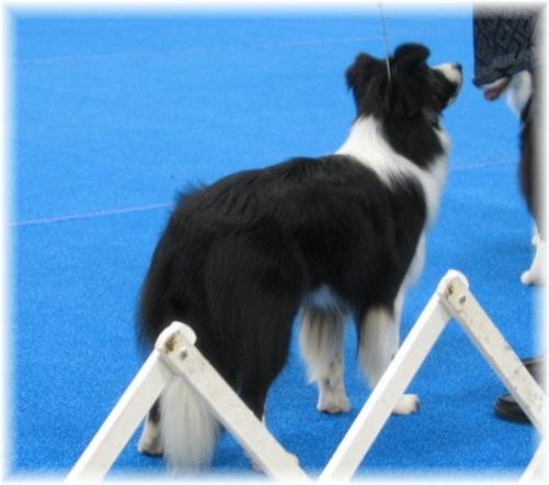 Julee KTBCC 2007 