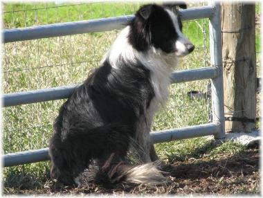 Julee at gate