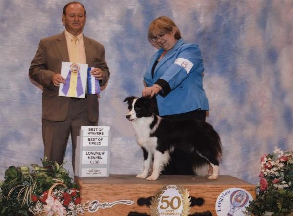 Tracy & Glory of Wilsong Border Collies - Best of Breed 