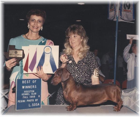 Otto & Judy 5 point major